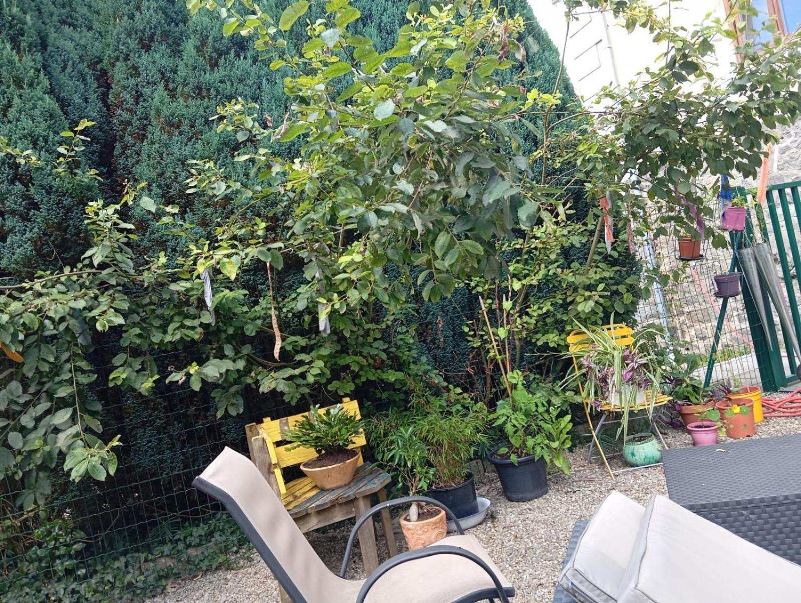 Au Pied Du Gazon Apartment Saint-Maurice-sur-Moselle Ngoại thất bức ảnh